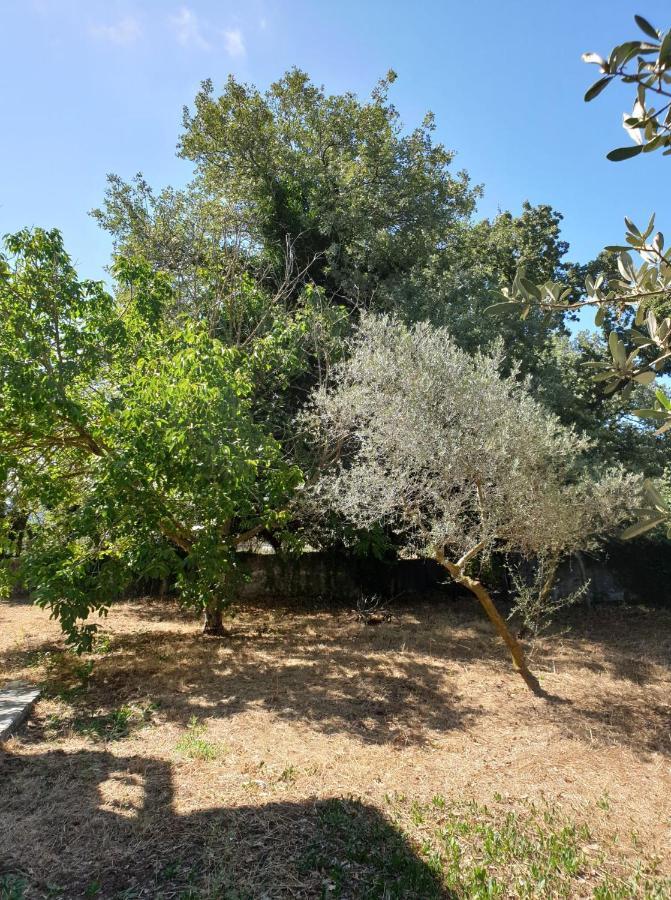 Villa Pasiphae Armenoi (Rethymno)
